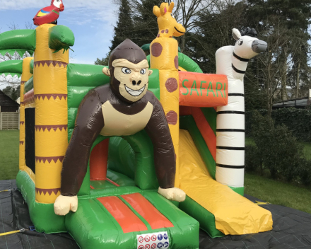 Safari Mini Park