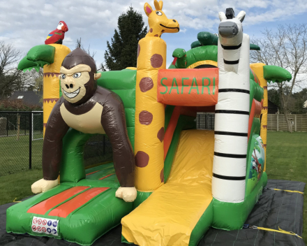 Safari Mini Park